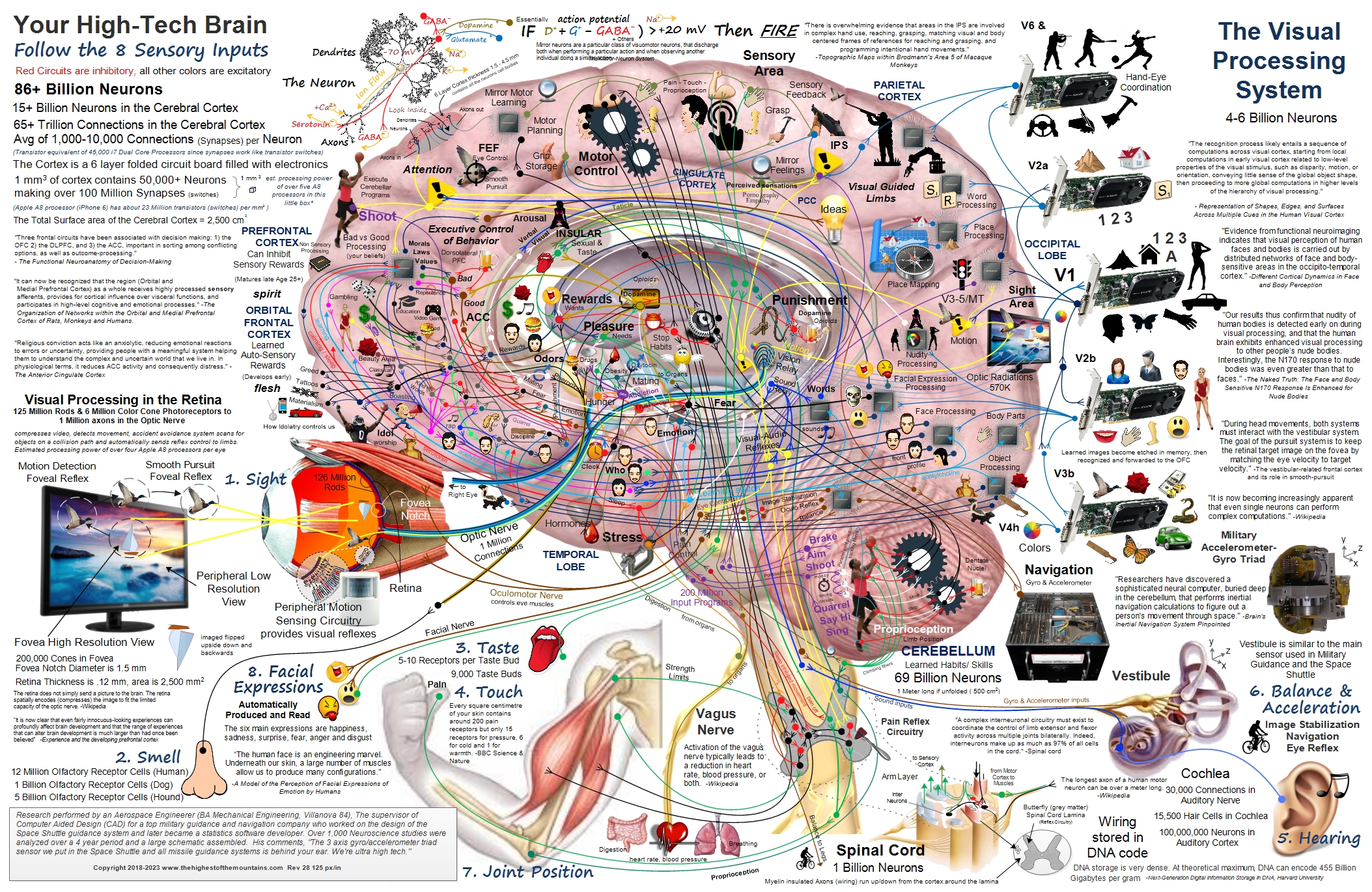 brain_map